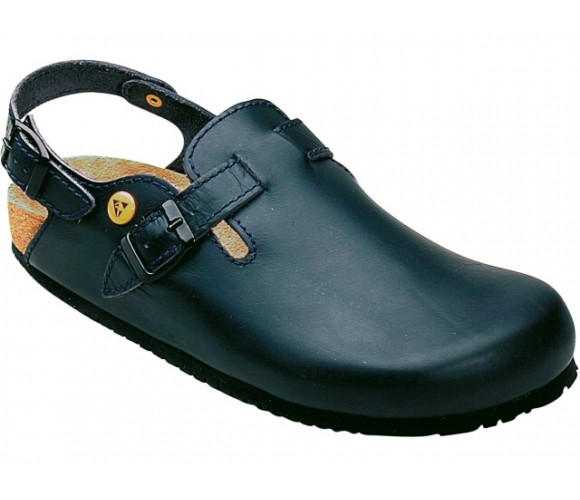 Clog 79653